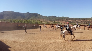 le domaine damanar