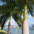 montego bay