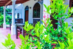 lotus villa