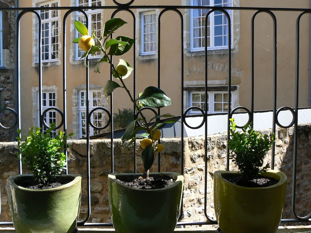 appartement relais saint pavin