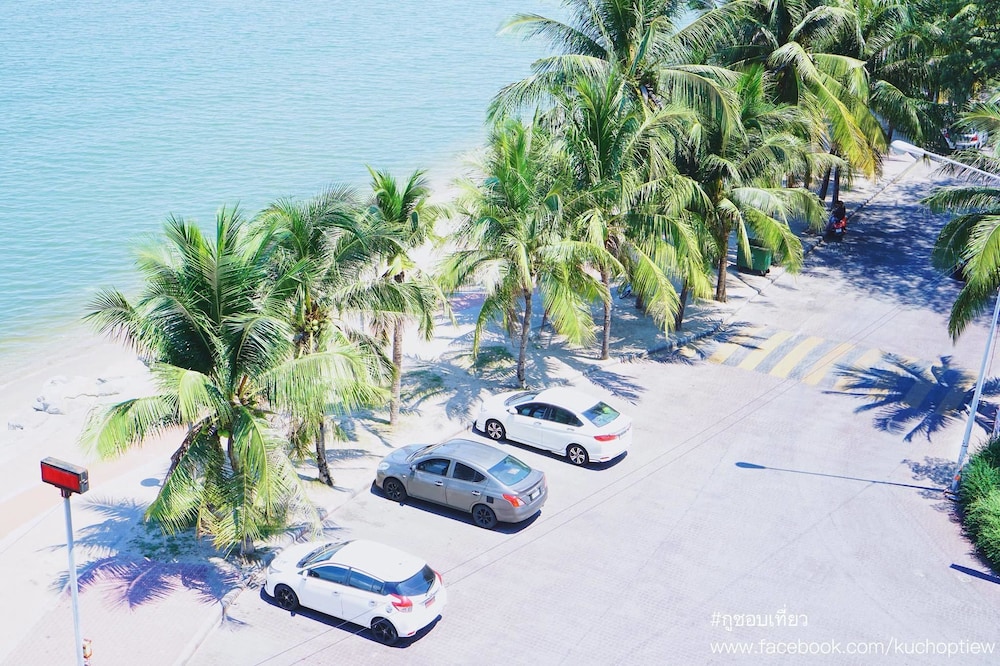 sea sand trees