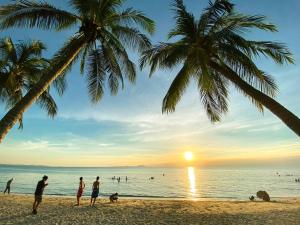 sea sand trees