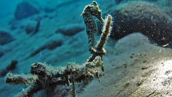 la bila dive resort amed