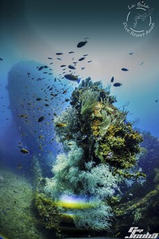 la bila dive resort amed