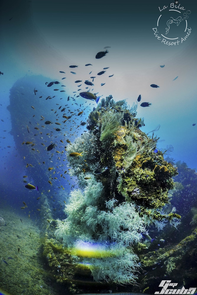 la bila dive resort amed