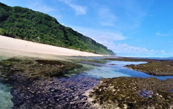 la bila dive resort amed
