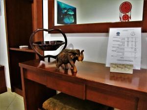 la bila dive resort amed