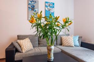 galeria italiana apartments