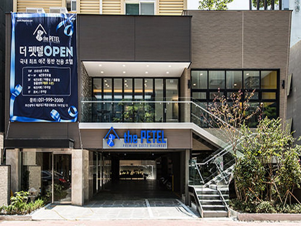 sleep with your own pet only the petel