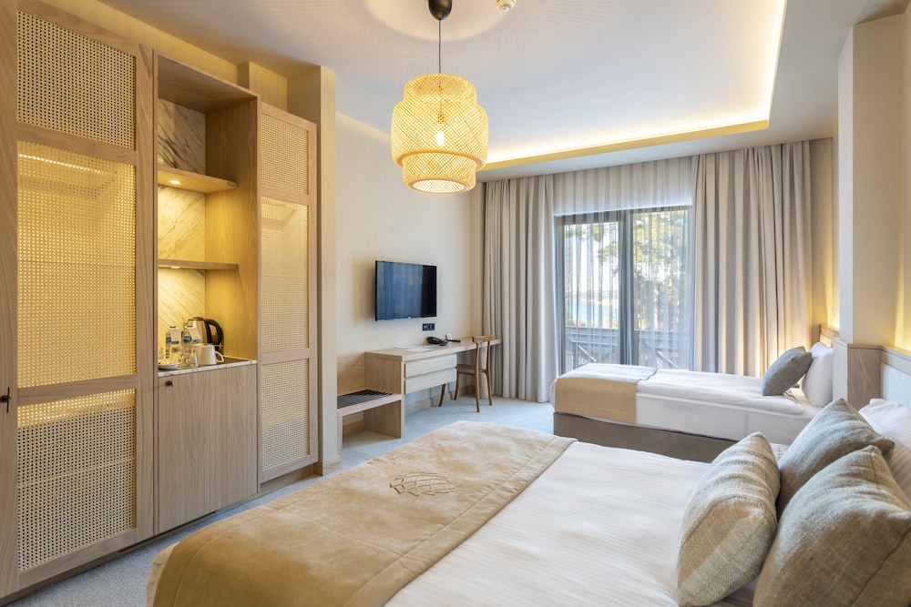 hancioglu orman evleri ve hotel