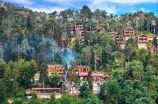 hancioglu orman evleri ve hotel