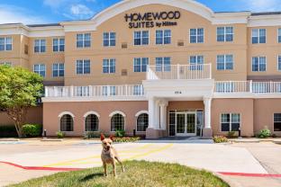 homewood suites by hilton dallas dfw airport n grapevine