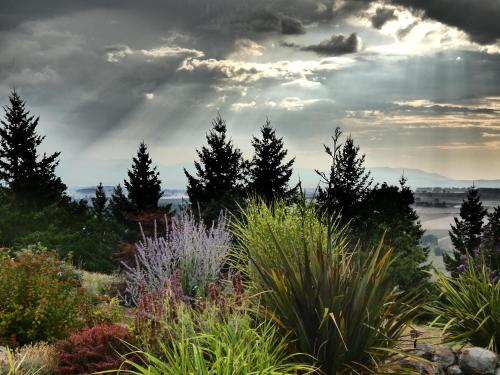 bella collina bed and breakfast
