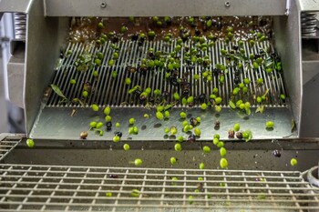 agriturismo vecchio borgo di inalbi