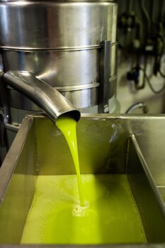 agriturismo vecchio borgo di inalbi