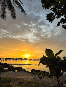freedom beach resort