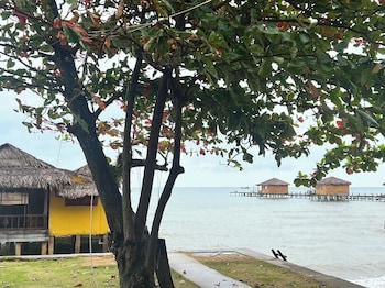 freedom beach resort