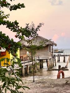 freedom beach resort