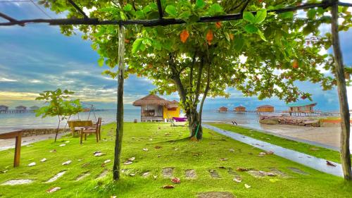 freedom beach resort