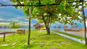 freedom beach resort