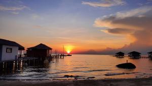 freedom beach resort