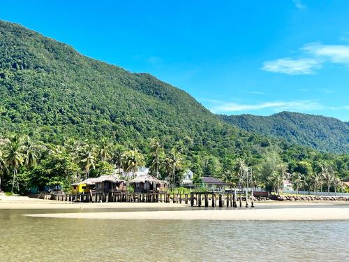 freedom beach resort