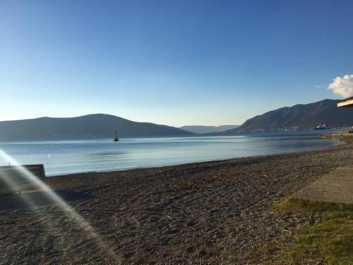 villa royal apartments