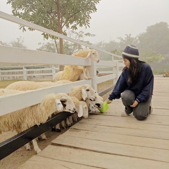 norn nab dao rimphu resort