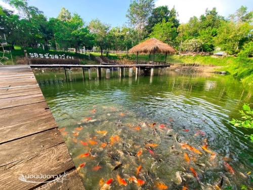 norn nab dao rimphu resort