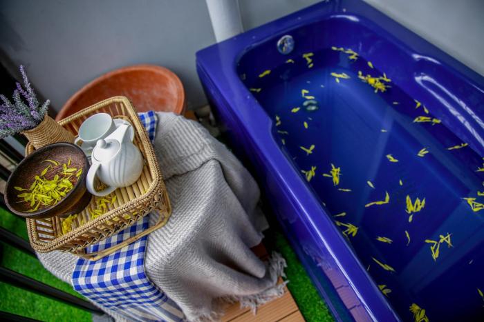 the artist residence