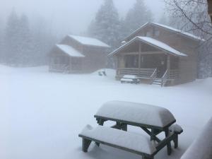 uludag orman koskleri