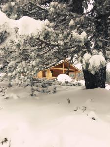 uludag orman koskleri