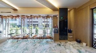treehouse hostels