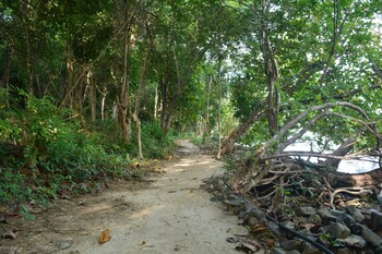 the jemuruk island resort