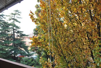 padova