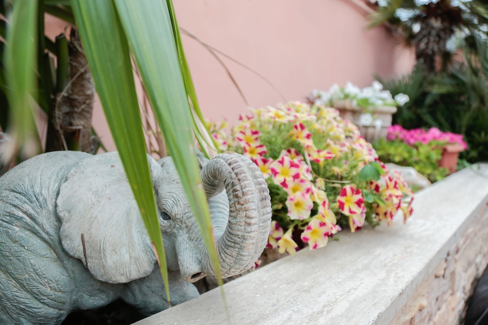 villa erasi guest house