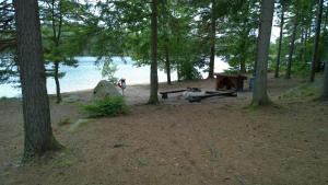 langasjonas camping and stugby