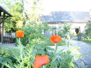 cottage d hamicourt
