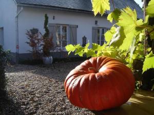 cottage d hamicourt