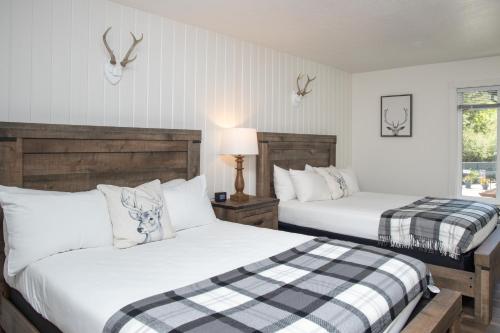 the occidental lodge