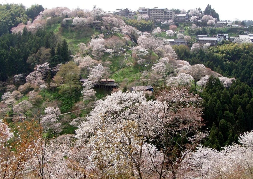 yoshino
