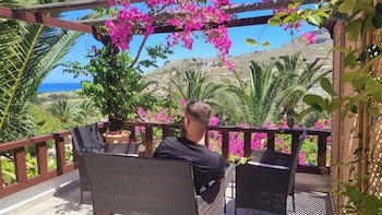 stellas traditional inn