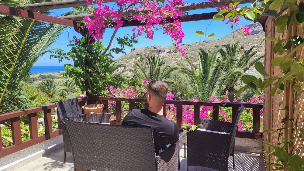 stellas traditional inn