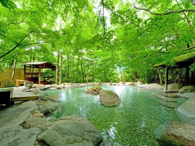 nihon no ashitaba