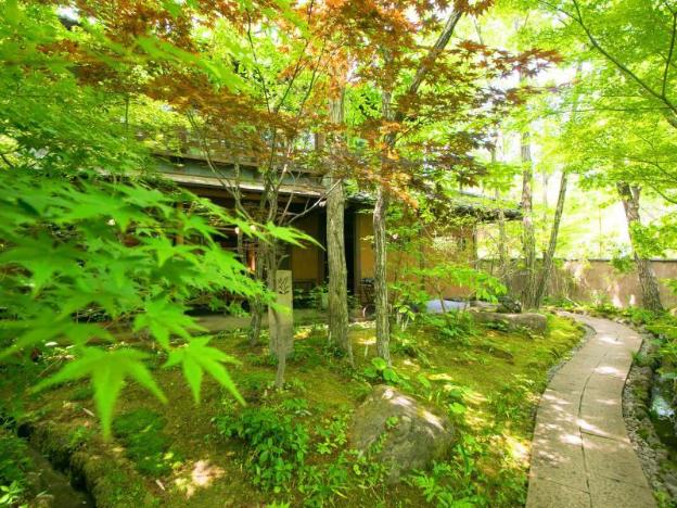 nihon no ashitaba