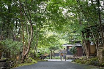 nihon no ashitaba