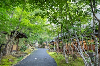 nihon no ashitaba