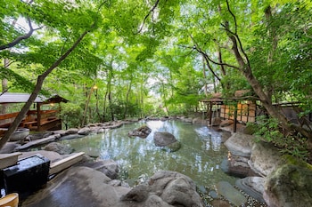 nihon no ashitaba