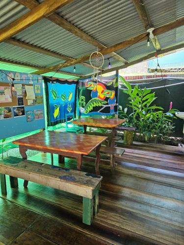cabinas tortuguero
