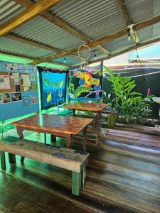 cabinas tortuguero
